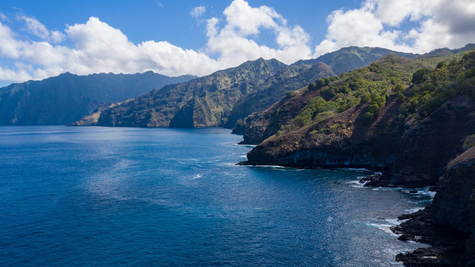 Hidden Hits of French Polynesia Cultural Port of Seattle